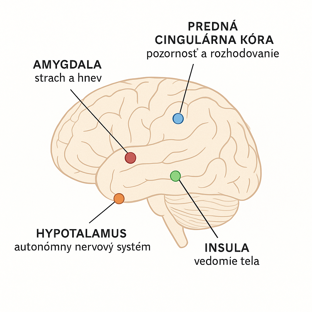 Emócie verzus presvedčenia